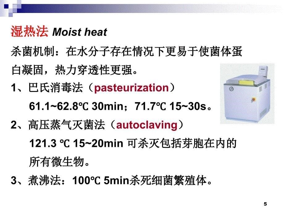 消毒噬菌体遗传_第5页