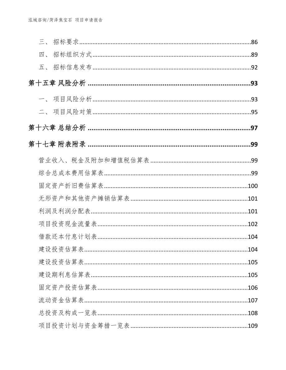 菏泽焦宝石 项目申请报告_第5页