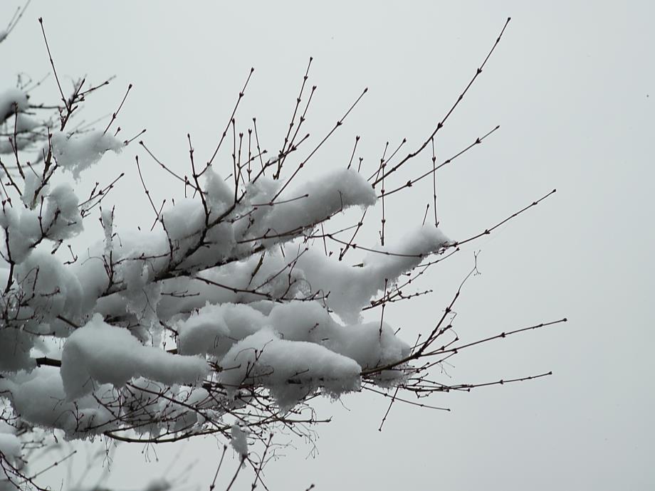 雪地里的小画家_第2页