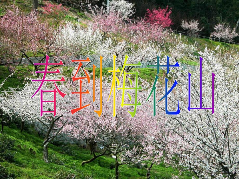 苏教版一年级下册_课文4_春到梅花山_完整版课件_第1页