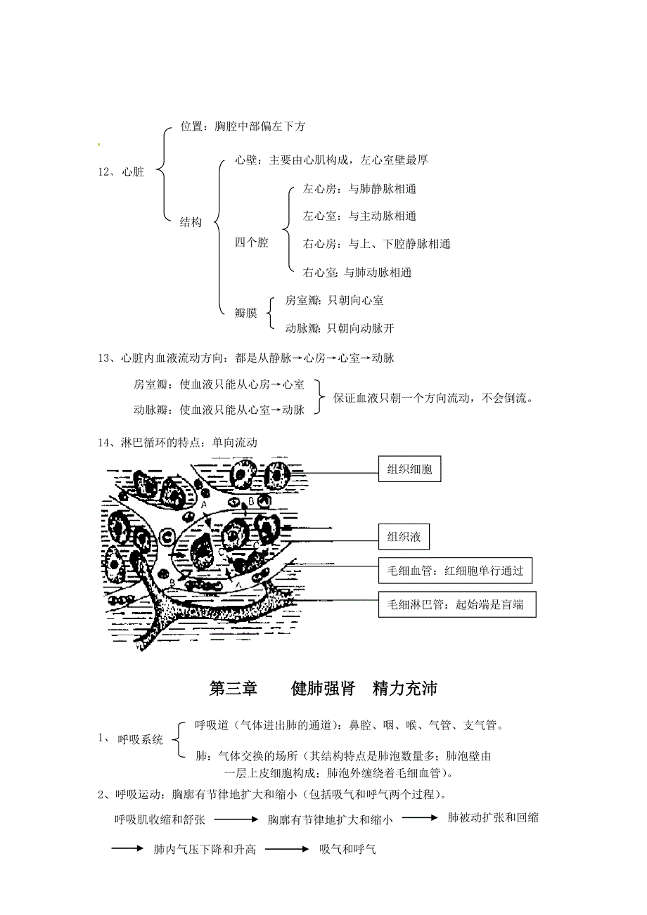 七年级生物下册知识点总结(17章)冀教版_第4页