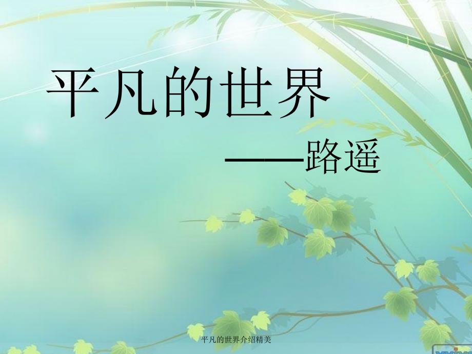 平凡的世界介绍精美课件_第1页