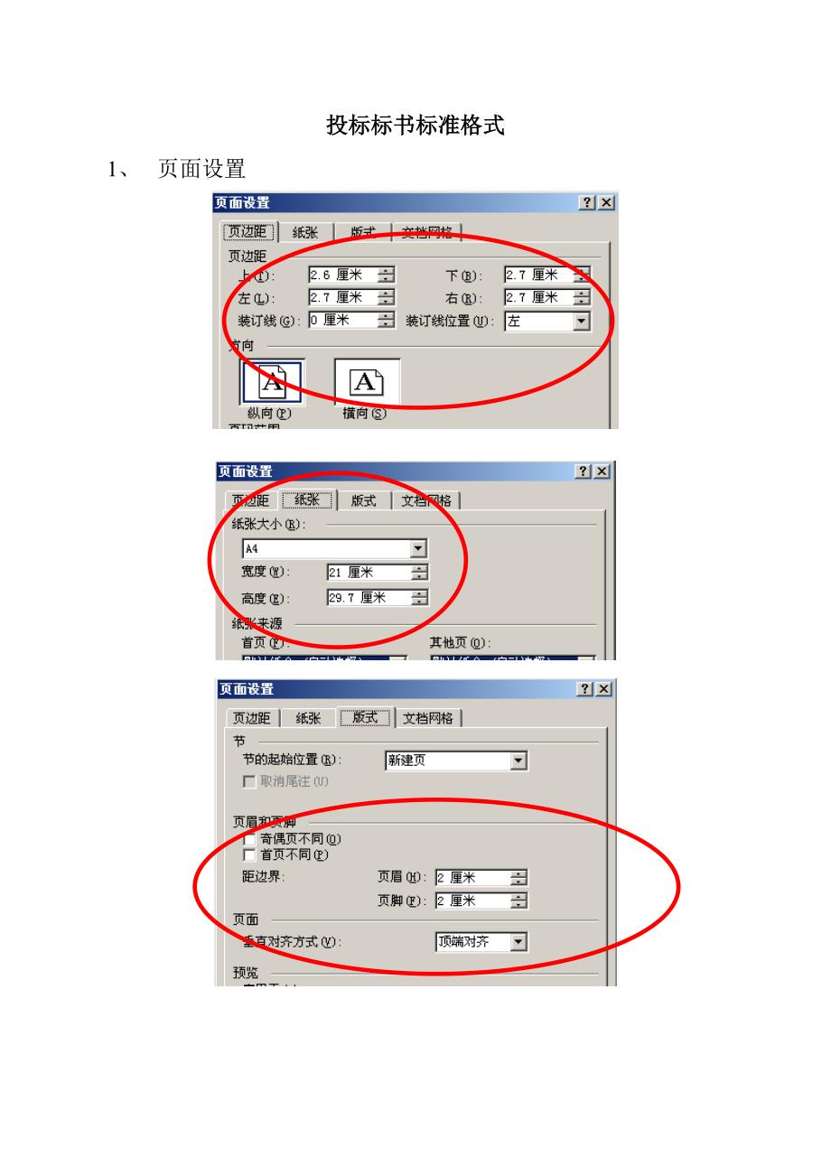 标书标准格式_第1页
