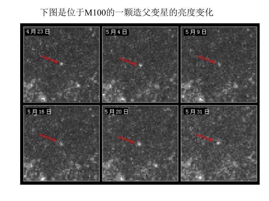 神经2感觉总论_第5页