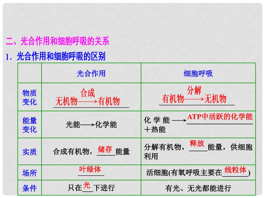 优化探究高考生物一轮复习 第三单元 细胞的能量供应和利用 第四讲 能量之源光与光合作用（二）课件 新人教版_第4页