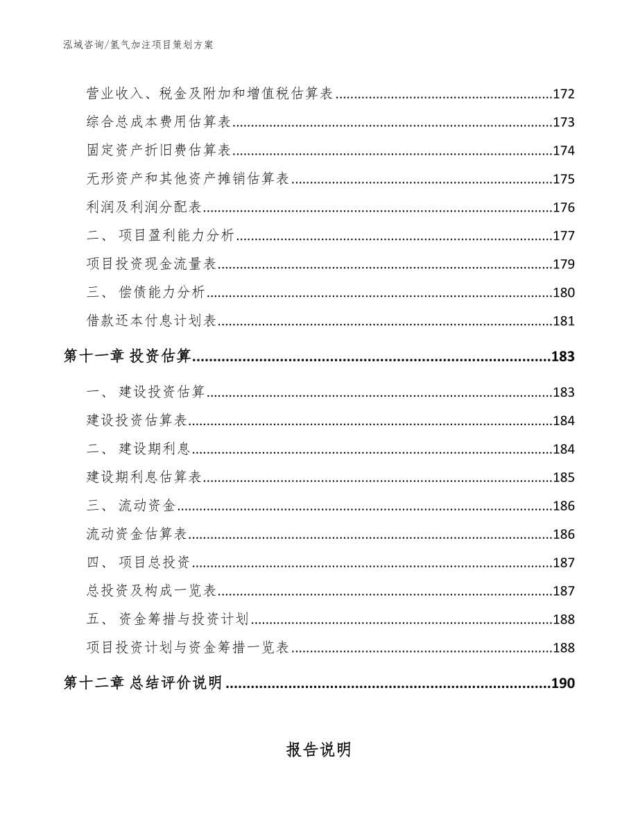 氢气加注项目策划方案_第5页