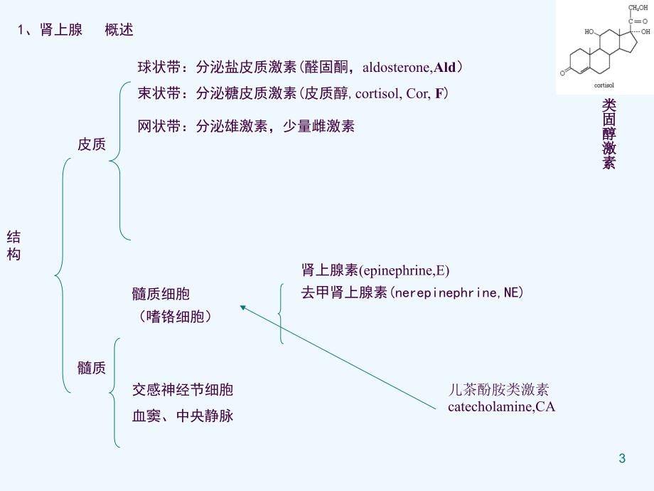 肾上腺检查检验核医学ppt课件_第3页