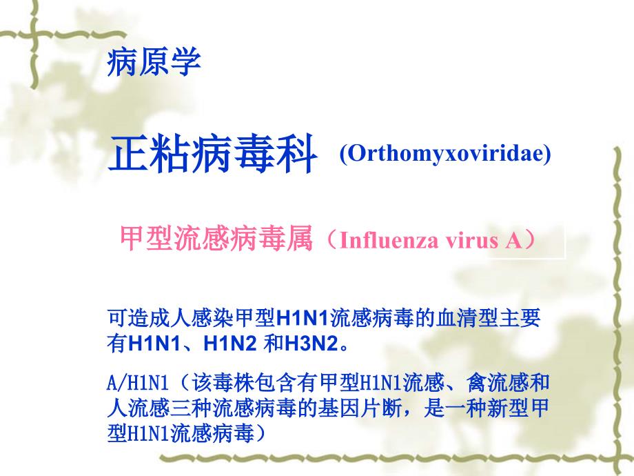 重症甲型H1N1流感的诊断及治疗PPT课件_第2页