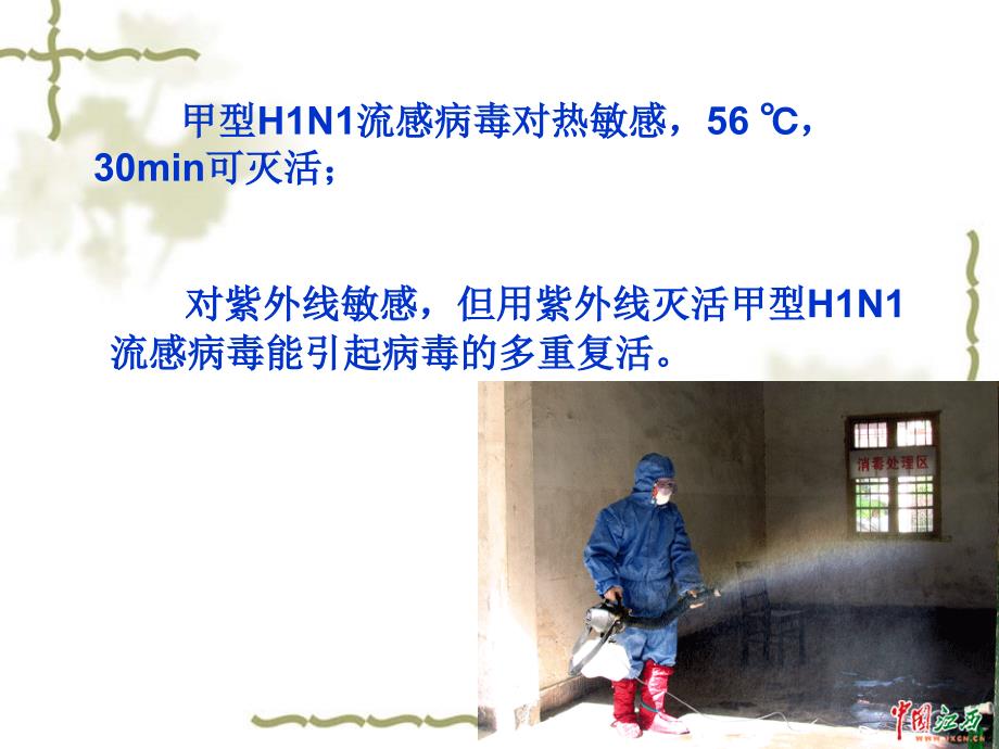 重症甲型H1N1流感的诊断及治疗PPT课件_第3页