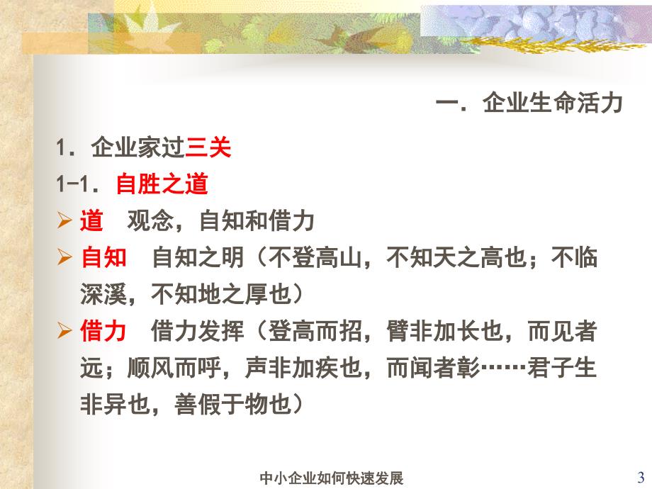 中小企业如何快速发展课件_第3页