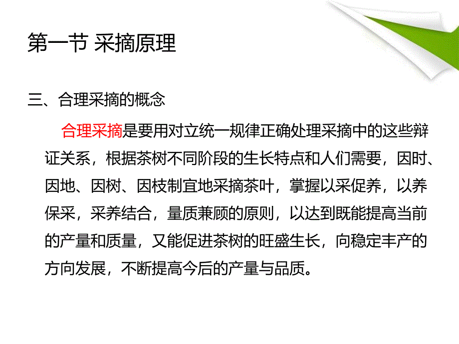 茶树生物学基础课件_第3页