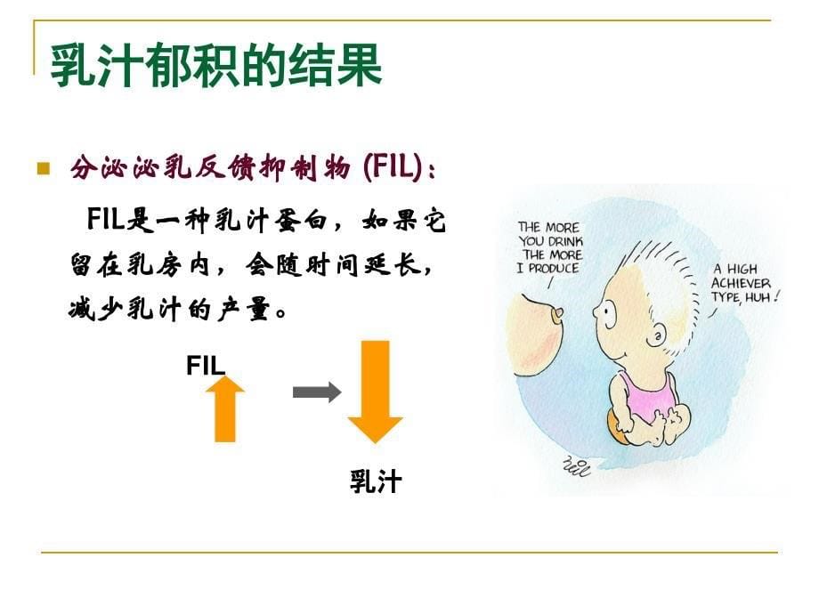 母亲患病期间的母乳喂养课件_第5页