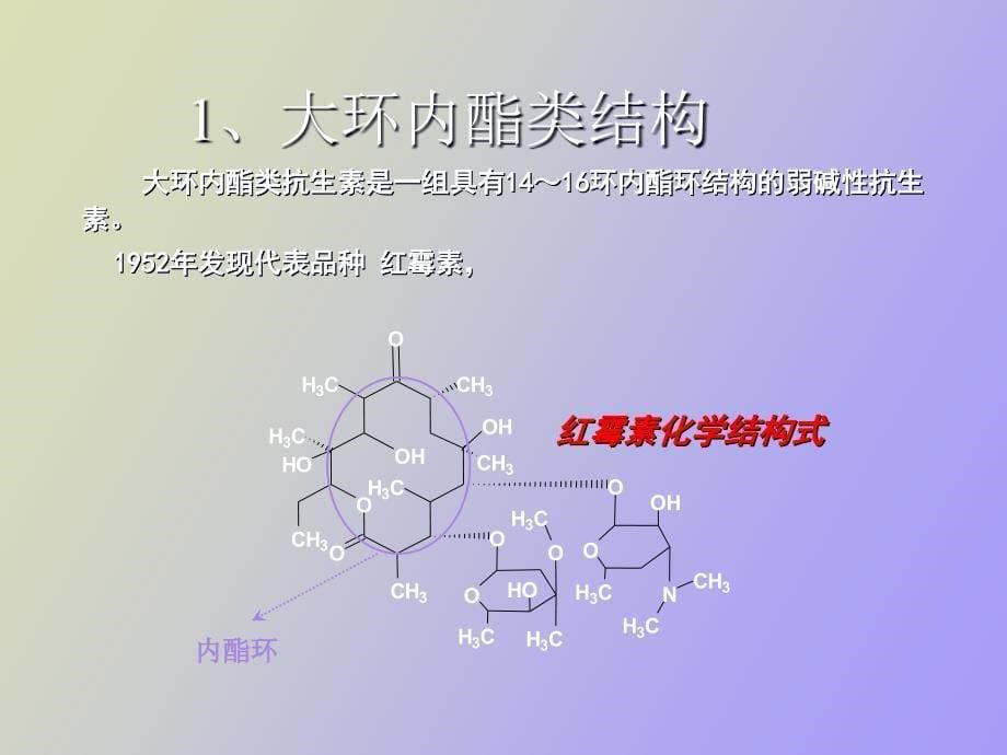 环酯红霉素干混悬剂_第5页