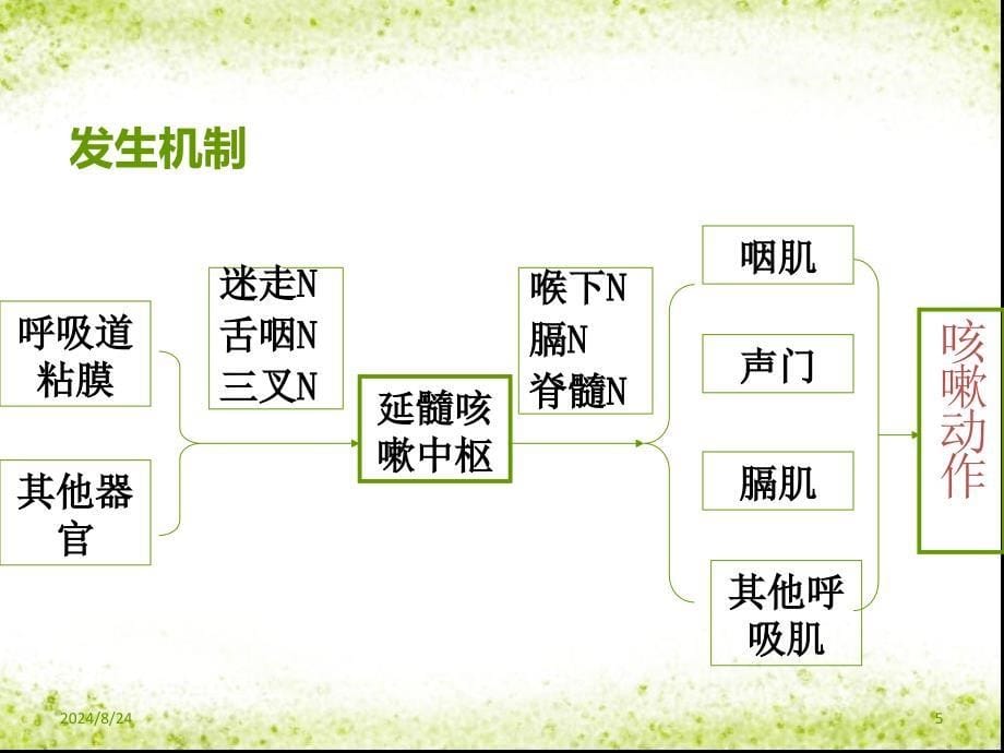 呼吸系统常见症状及体格检查资料_第5页