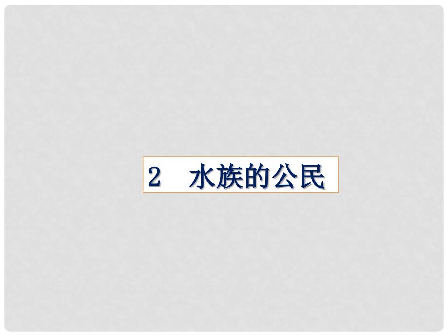 四年级科学上册 2.2 水族的公民课件2 湘教版_第1页