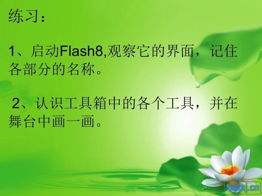 flash8课件(上课)_第5页