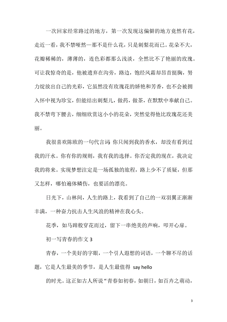 初一写青春的优秀作文700字_第3页