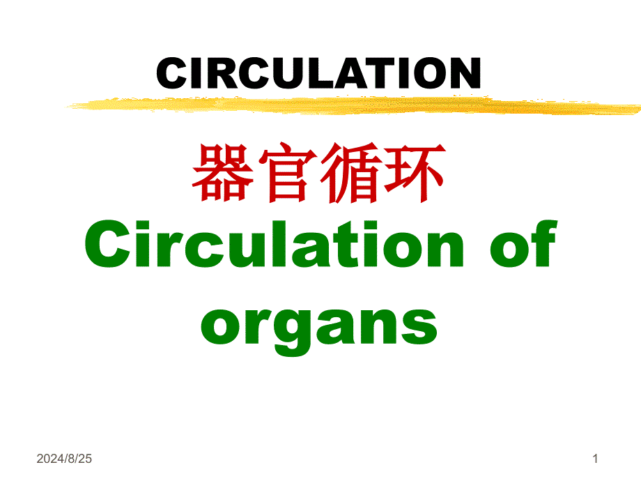 循环系统脏器循环PPT课件_第1页