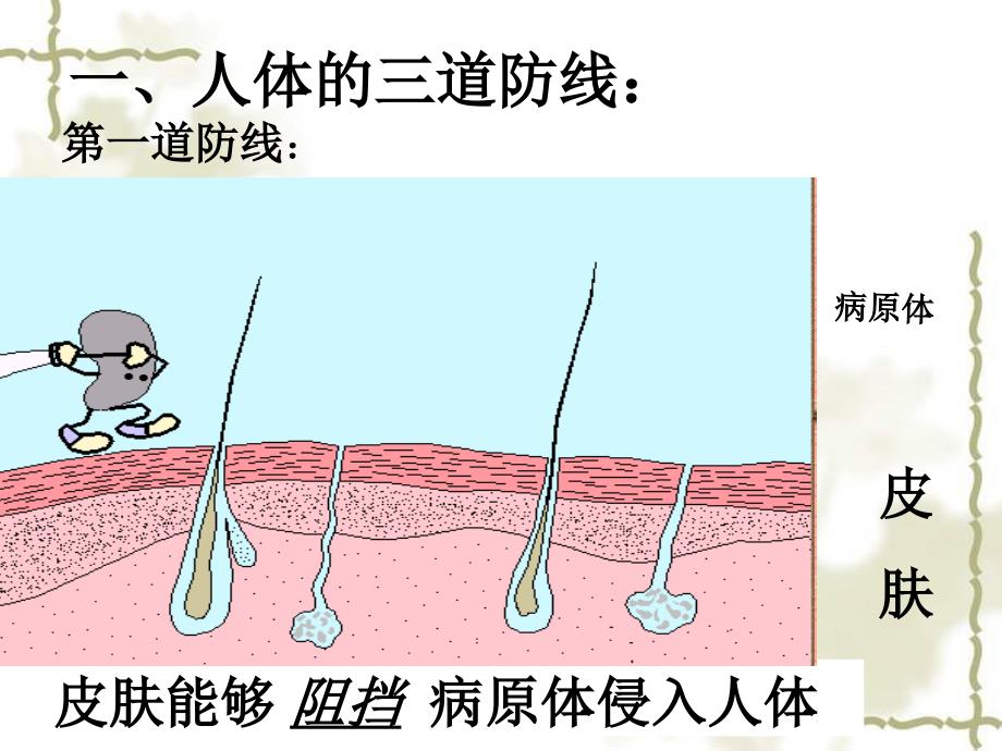 免疫与计划免疫2_第3页