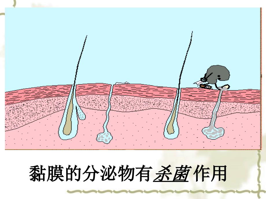 免疫与计划免疫2_第4页