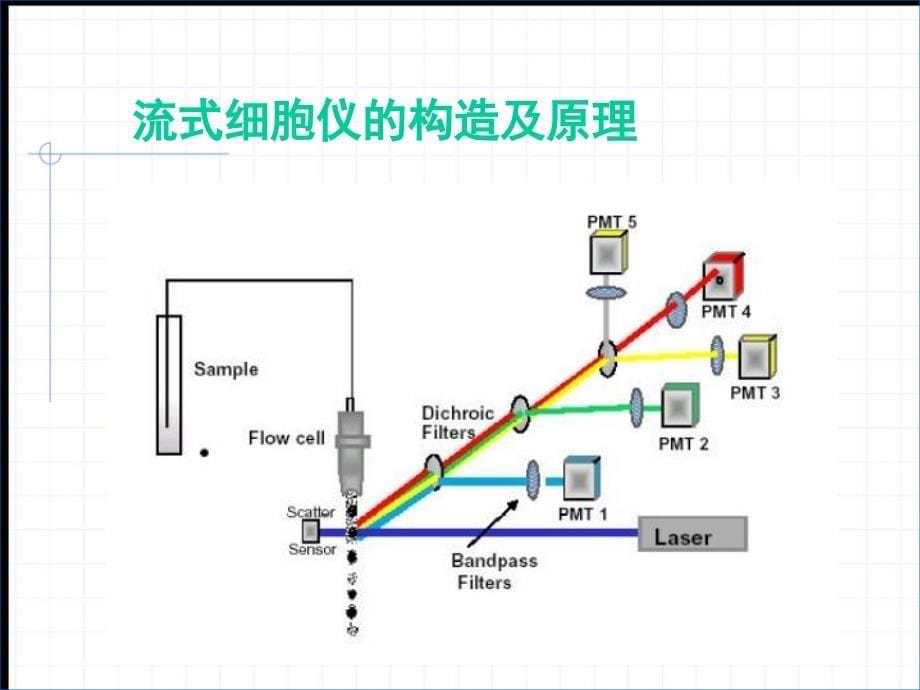 流式细胞术的临床应用_第5页