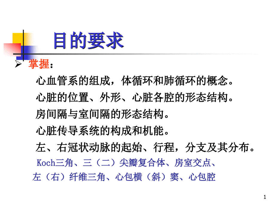 系统解剖学：心血管系统总论_第1页