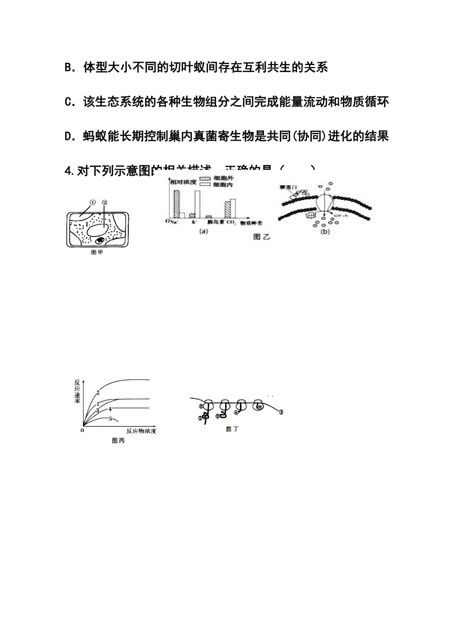 江西省六校高三第二次联考理科综合试题及答案_第3页