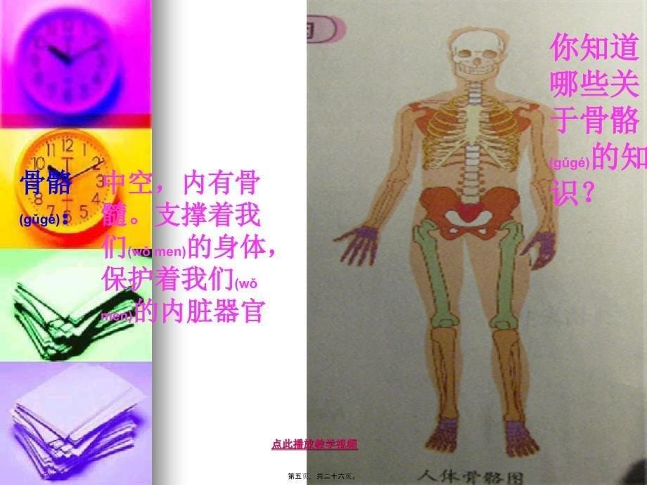 医学专题一.2《骨骼关节和肌肉》kejian_第5页