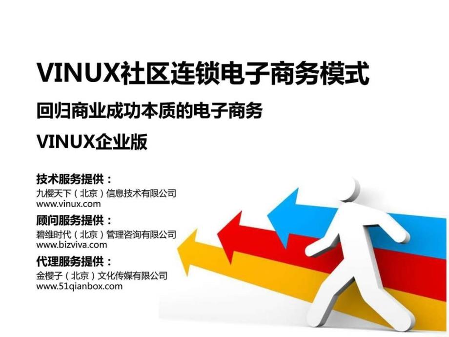 VINUX卖家服务体系.ppt_第1页