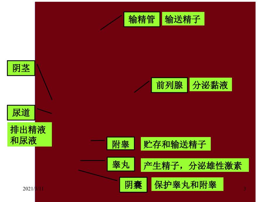 七下生物资料_第3页