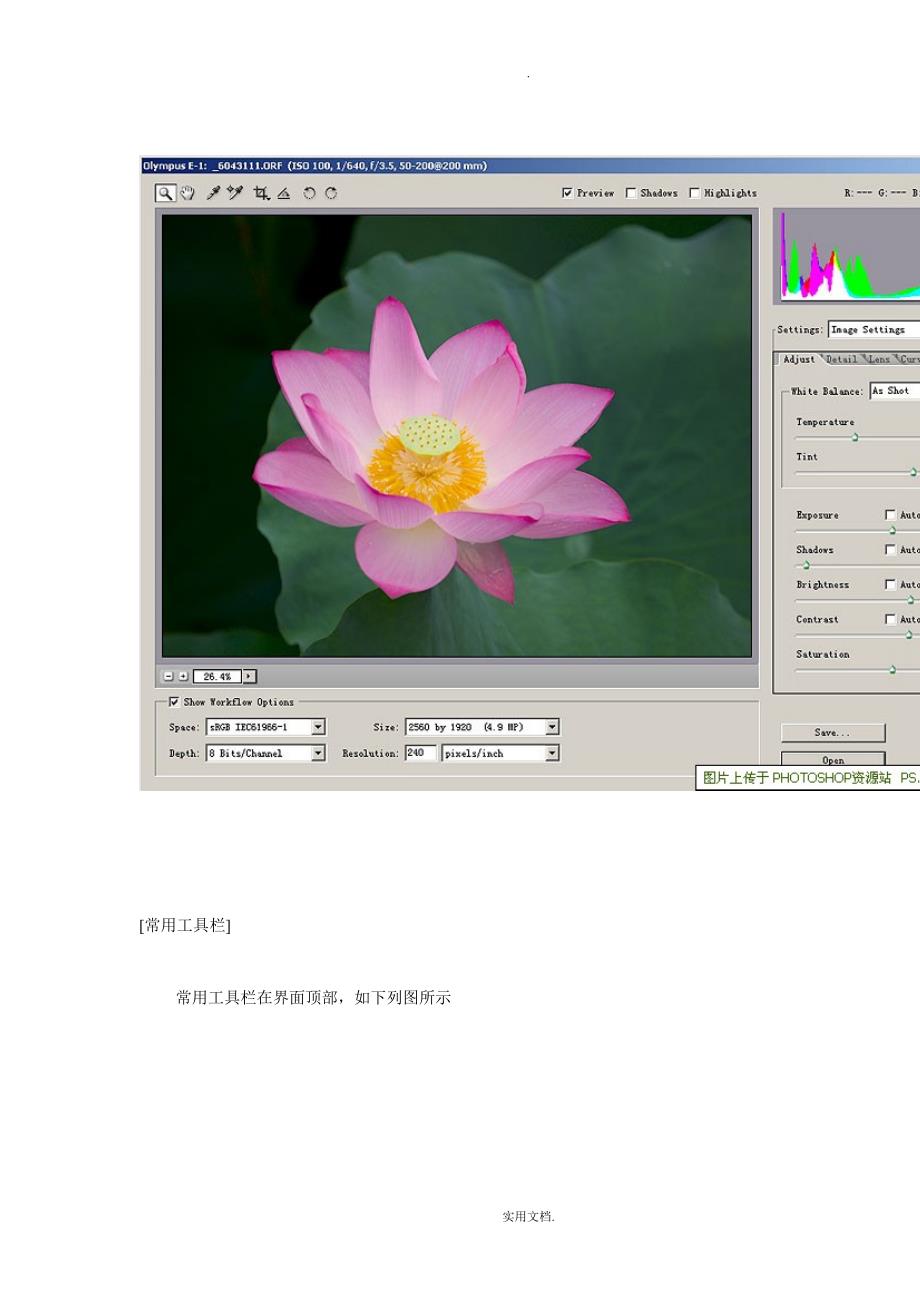 Adobecameraraw使用教程_第2页