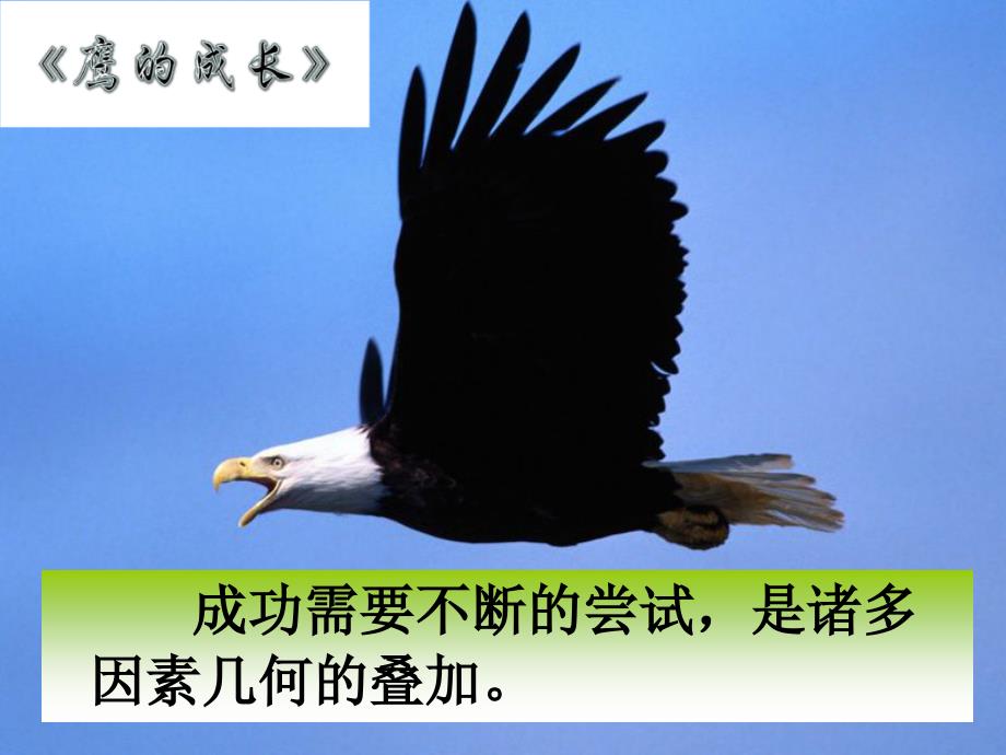 三年级下册品德课件13今天我进步了吗3教科版共13张PPT_第2页