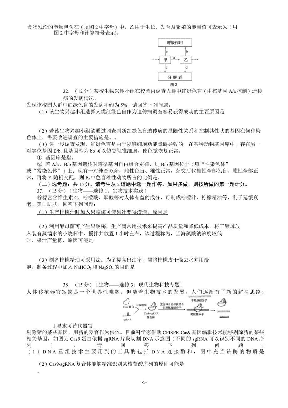 2021届全国新高考仿真模拟试题(四)生物(解析版)_第5页