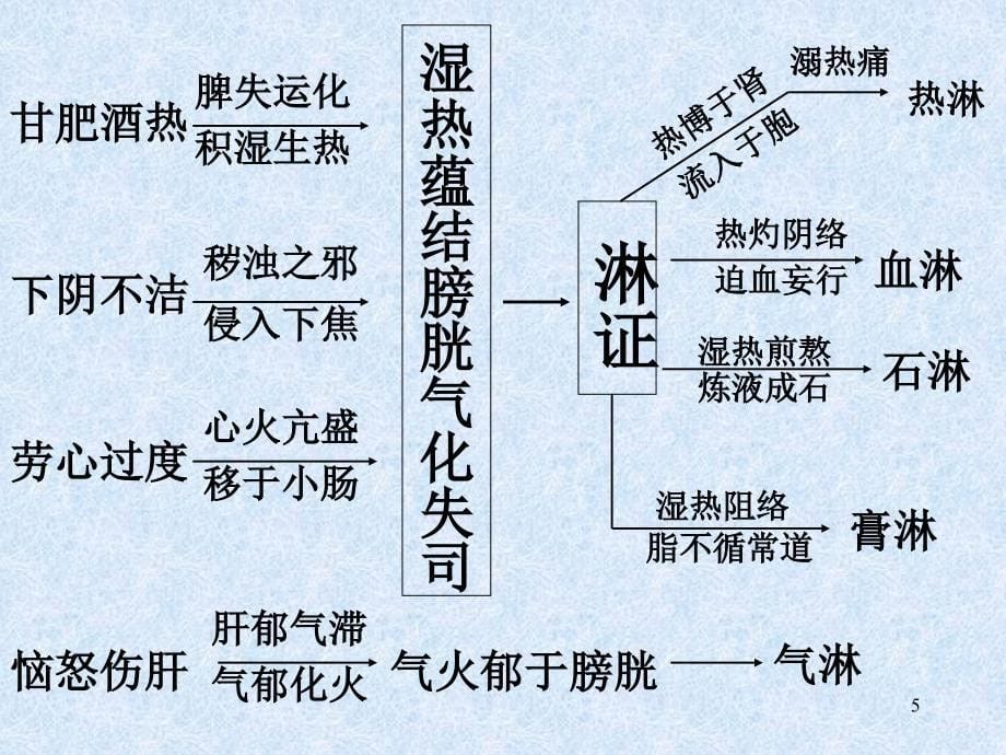 中医内科学课件42淋证_第5页