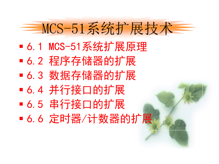 mcs51系统扩展技术_第1页