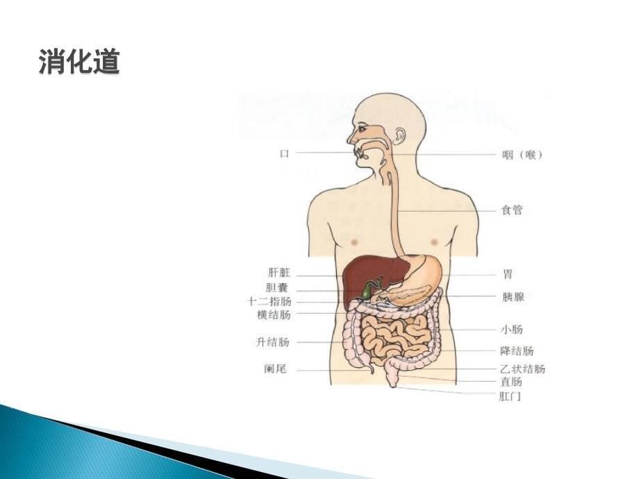 透析病人消化道出血的治疗_第5页