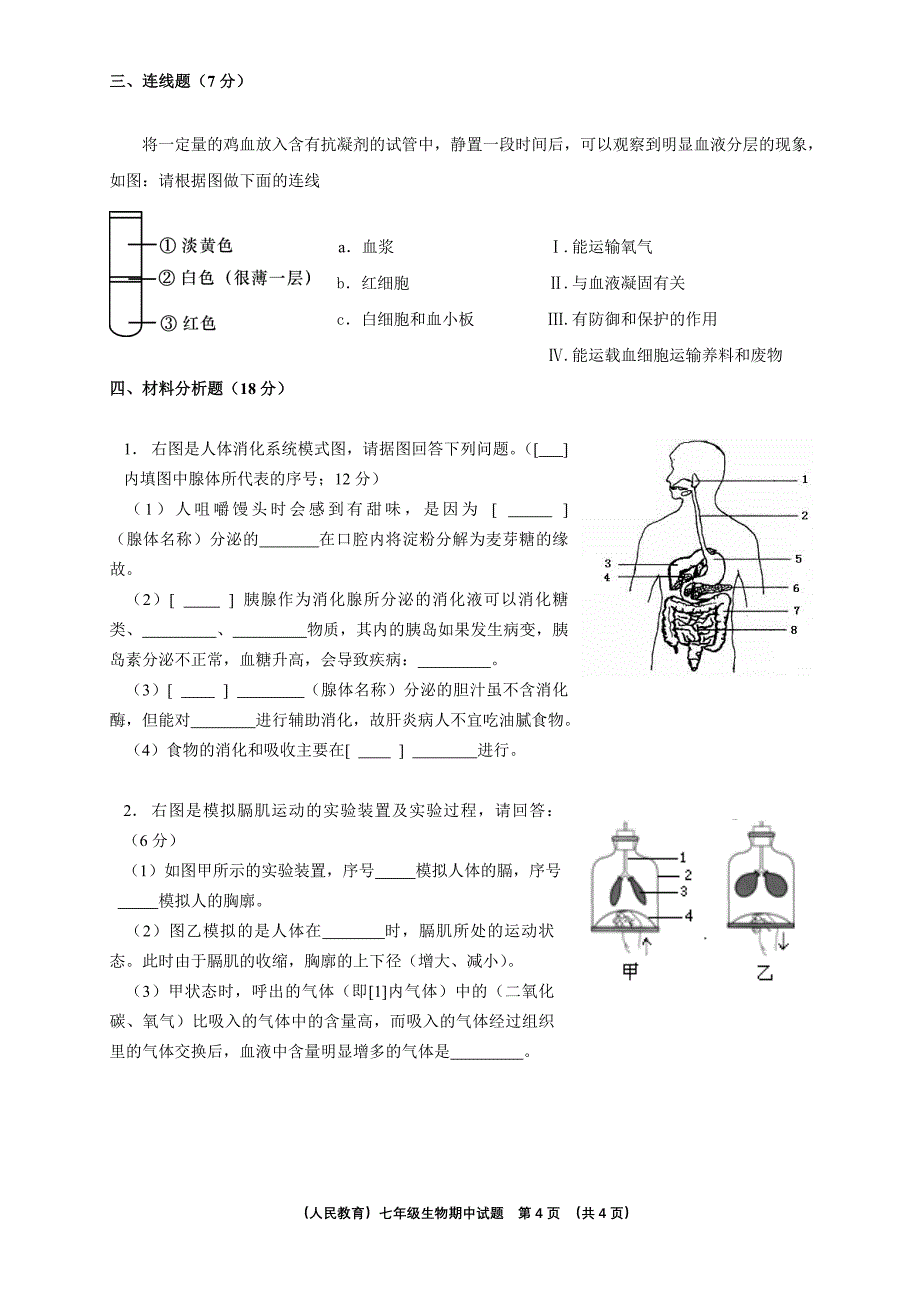 人教版七年级生物下册期中试卷[1].doc_第4页