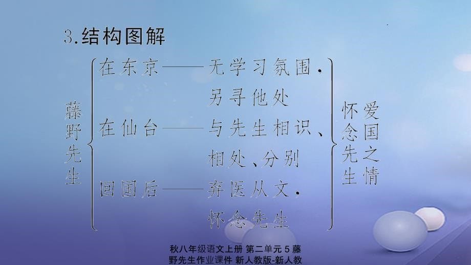 最新八年级语文上册第二单元5藤野先生作业课件新人教版新人教级上册语文课件_第5页