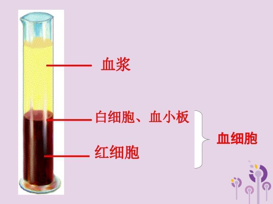 七年级生物上册 4.4.1物质运输的载体 鲁科版五四制_第5页