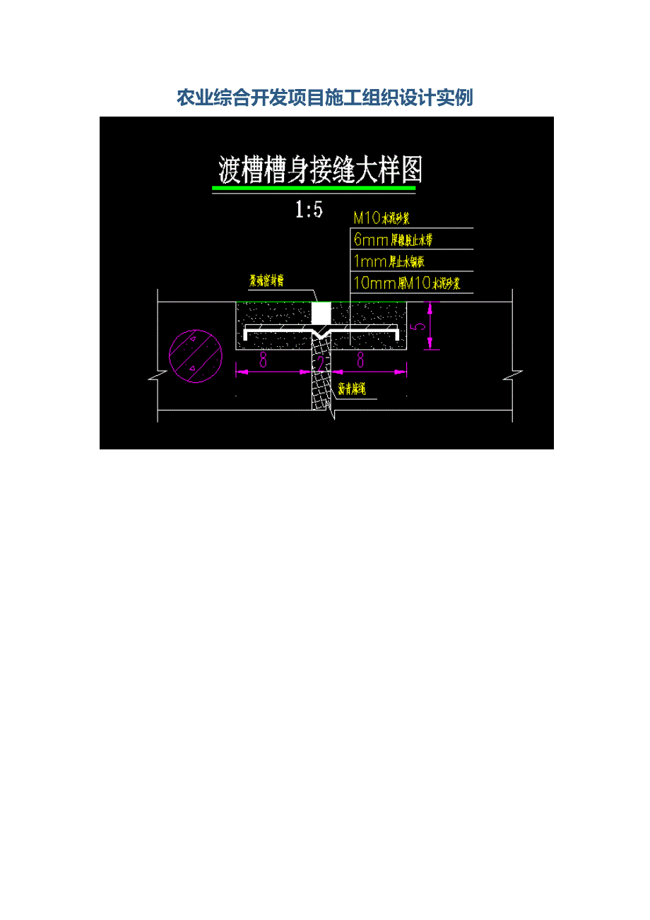 农业综合开发项目施工组织设计实例.docx_第1页