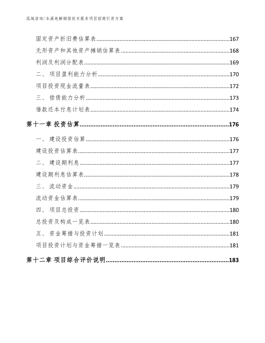 本溪电解铜箔技术服务项目招商引资方案（模板范本）_第4页