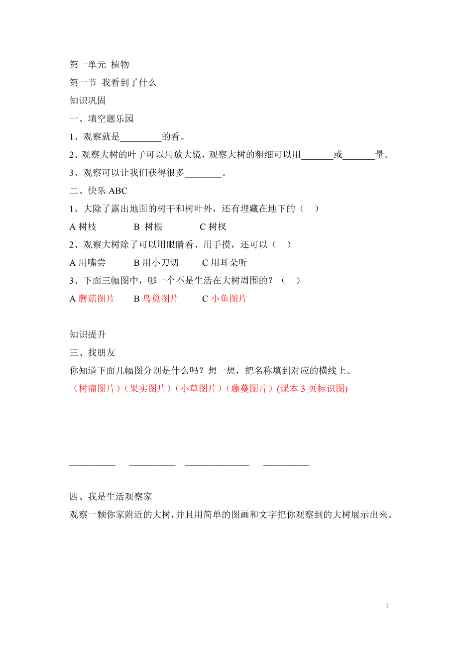 三年级上册科学.doc_第1页