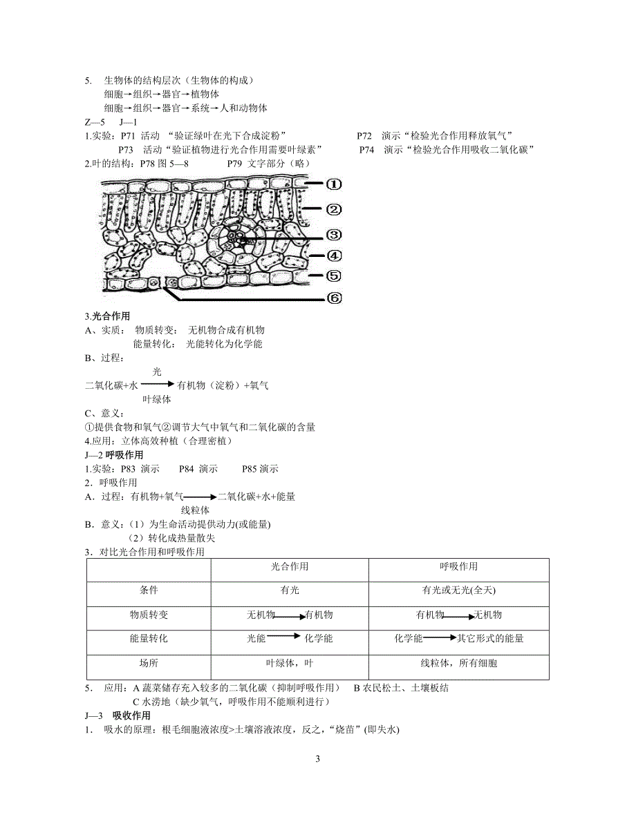 七年级上生物复习提纲.doc_第3页