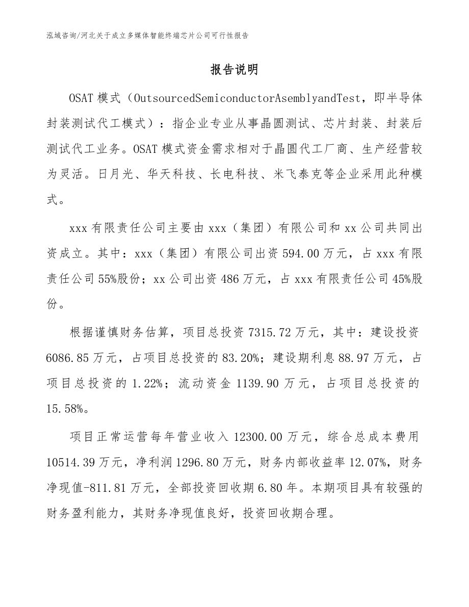 河北关于成立多媒体智能终端芯片公司可行性报告（模板参考）_第2页