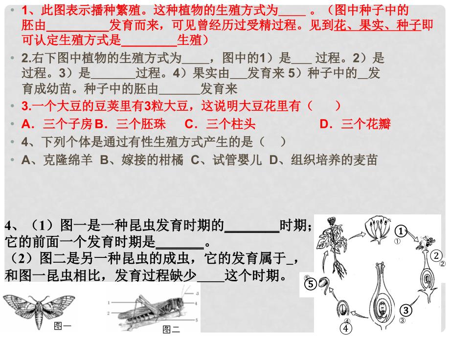 山东省肥城市石横镇初级中学八年级生物下册《生物的生殖和发育》复习课件 新人教版_第2页