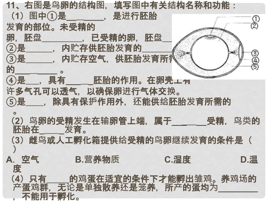 山东省肥城市石横镇初级中学八年级生物下册《生物的生殖和发育》复习课件 新人教版_第5页