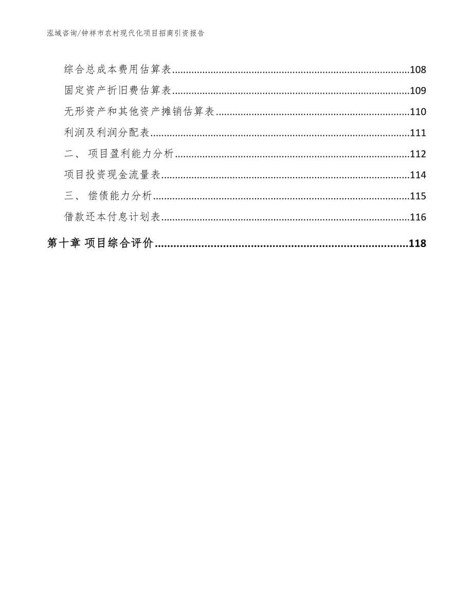 钟祥市农村现代化项目招商引资报告参考范文_第5页