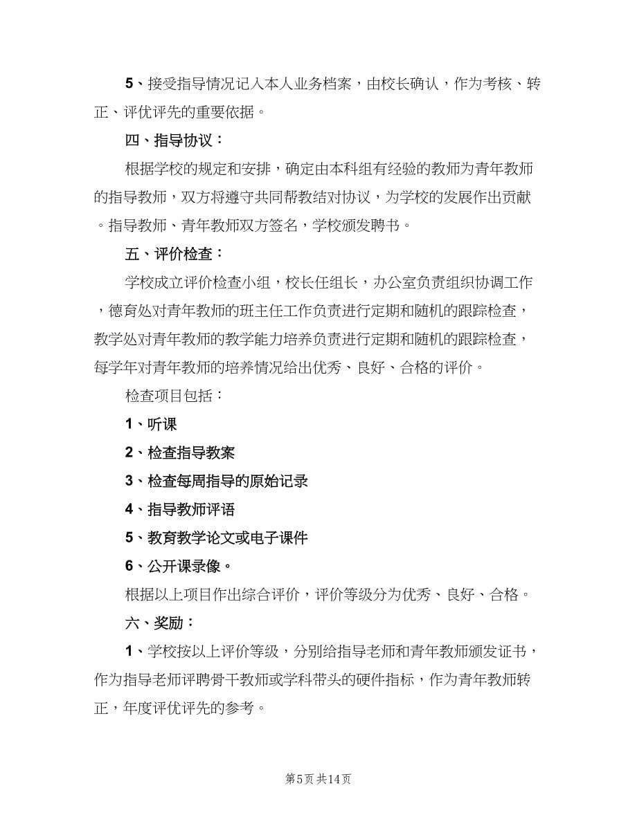 大学青年教师培养计划（五篇）.doc_第5页