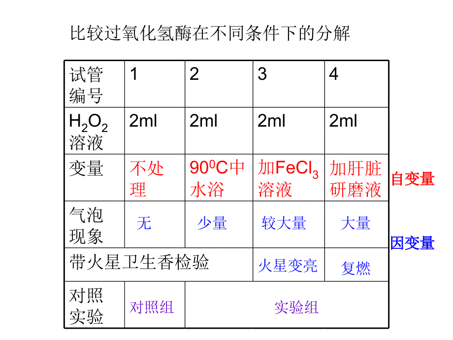 降低化学反应活化能的酶长阳二中刘明_第3页