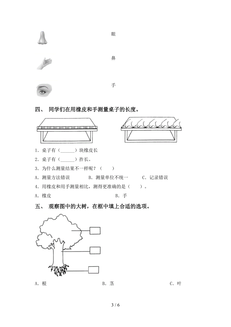 新人教版一年级科学下册期中试卷(参考答案).doc_第3页